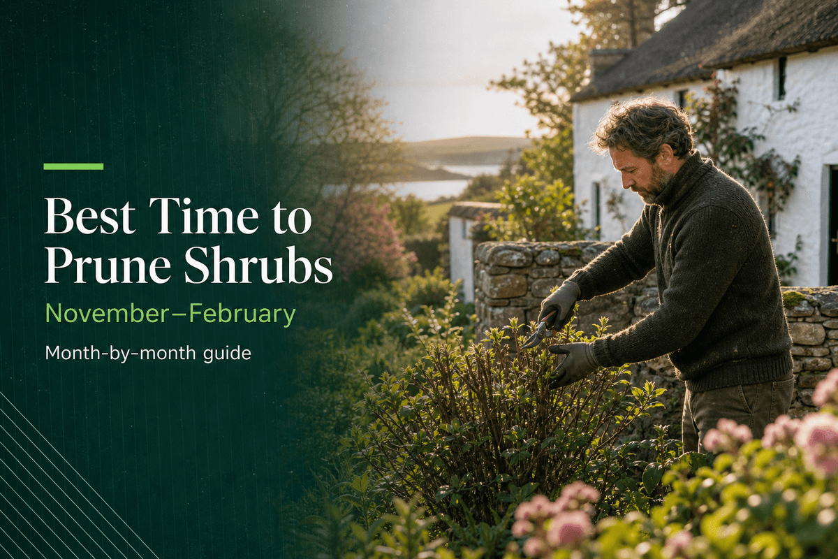 Best Time to Prune Shrubs: An Irish Month-by-Month Guide
