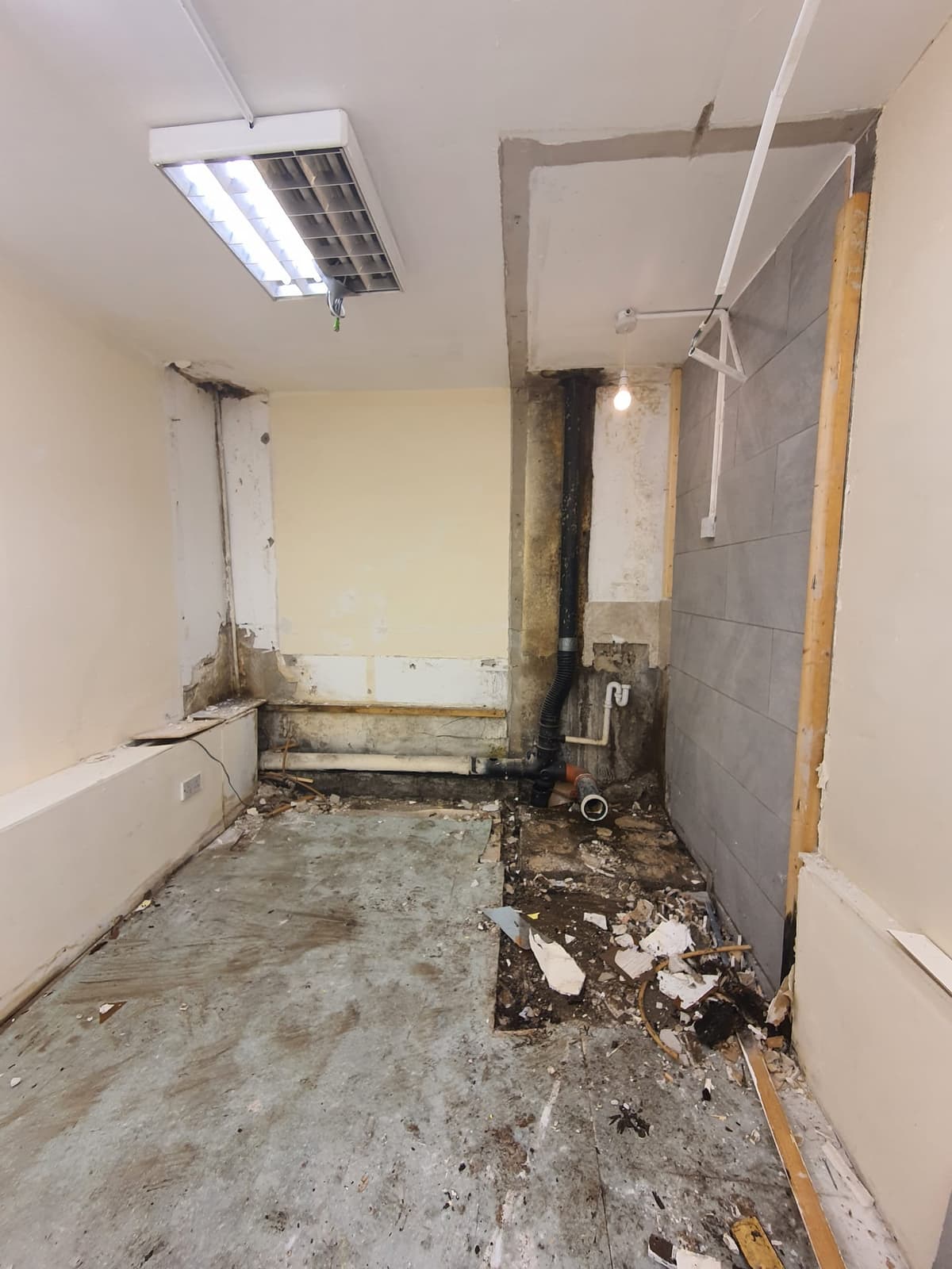 Task image 1