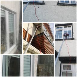 Professional Window Cleaner